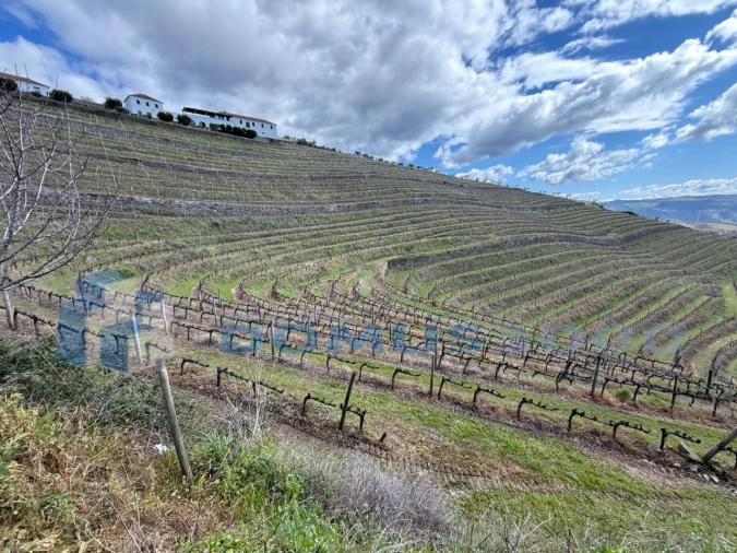 Quinta para Venda em Sever Foto 117