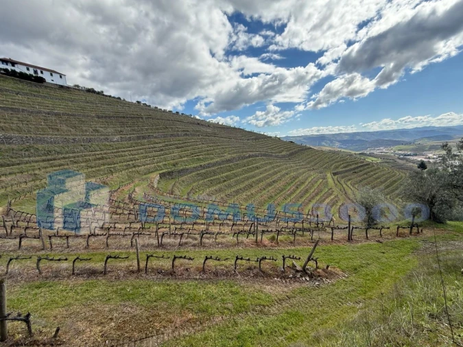 Quinta para Venda em Sever Foto 119