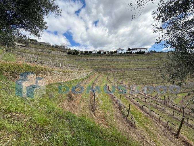 Quinta para Venda em Sever Foto 124