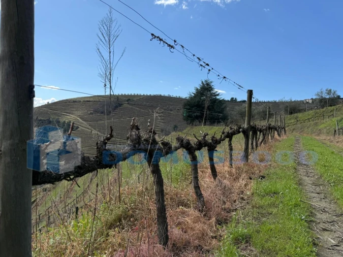 Quinta para Venda em Sever Foto 125