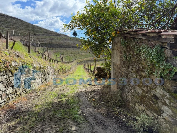 Quinta para Venda em Sever Foto 129