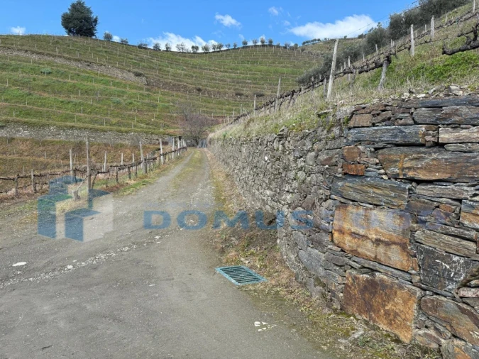 Quinta para Venda em Sever Foto 131