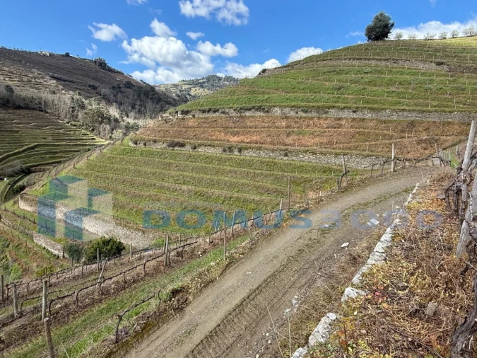 Quinta para Venda em Sever Foto 137