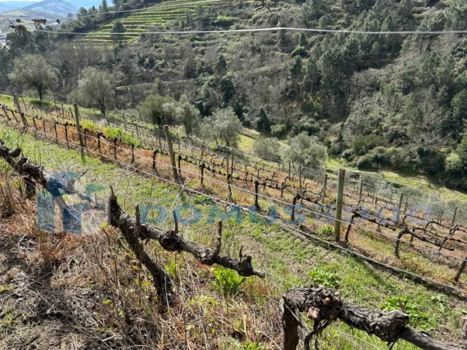 Quinta para Venda em Sever Foto 146