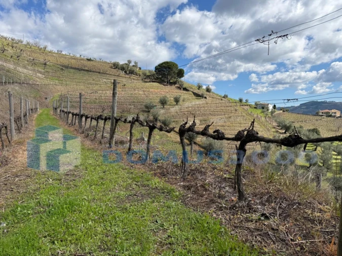 Quinta para Venda em Sever Foto 149