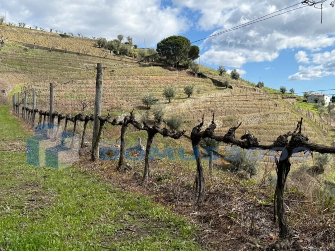 Quinta para Venda em Sever Foto 150
