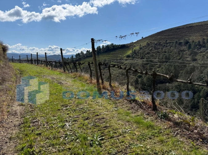 Quinta para Venda em Sever Foto 151