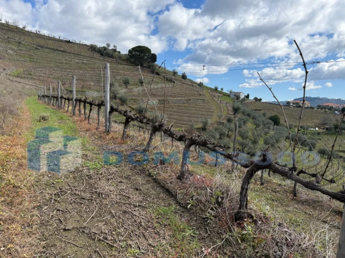 Quinta para Venda em Sever Foto 154