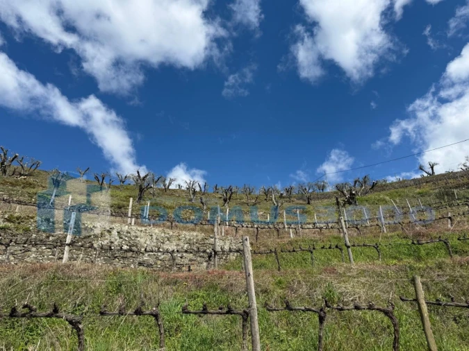 Quinta para Venda em Sever Foto 158