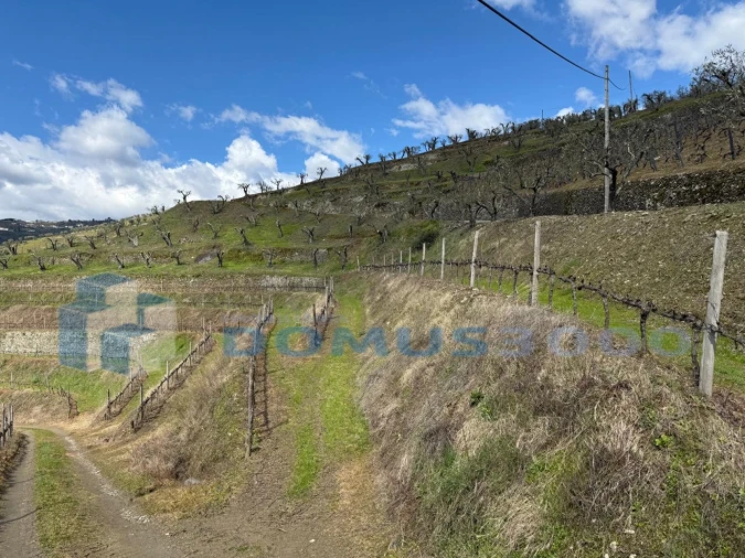 Quinta para Venda em Sever Foto 159