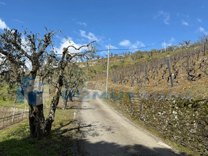 Quinta para Venda em Sever Foto 178