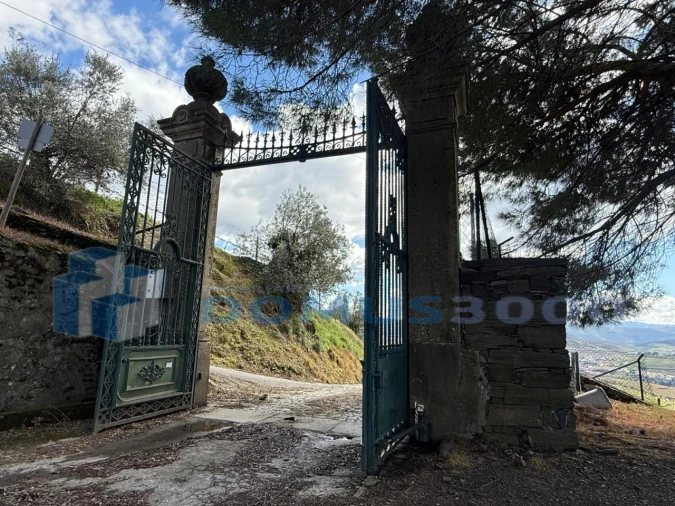 Quinta para Venda em Sever Foto 180