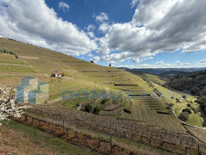 Quinta para Venda em Sever Foto 186