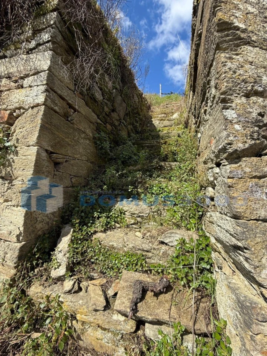 Quinta para Venda em Sever Foto 192