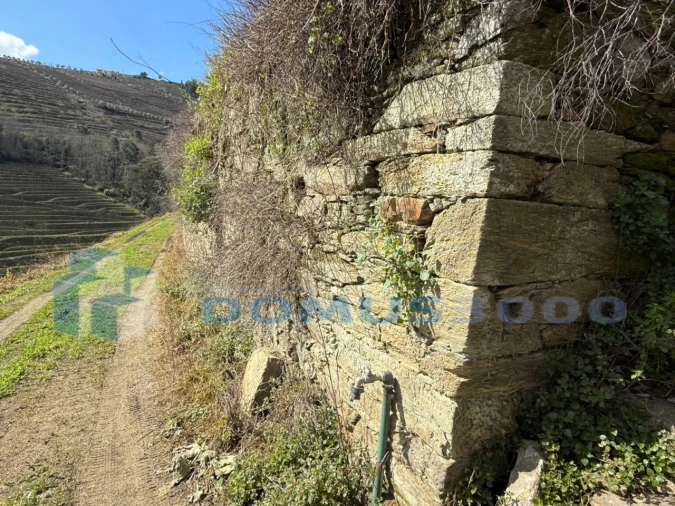 Quinta para Venda em Sever Foto 193