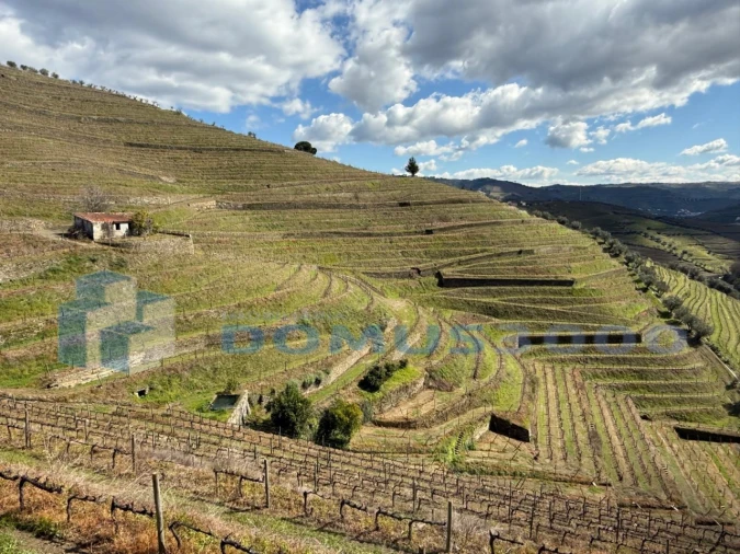 Quinta para Venda em Sever Foto 195