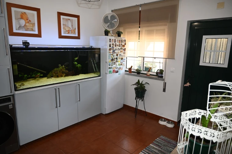 Moradia T3 para Venda em Ponte de Sor, Tramaga e Vale de Açor Foto 29