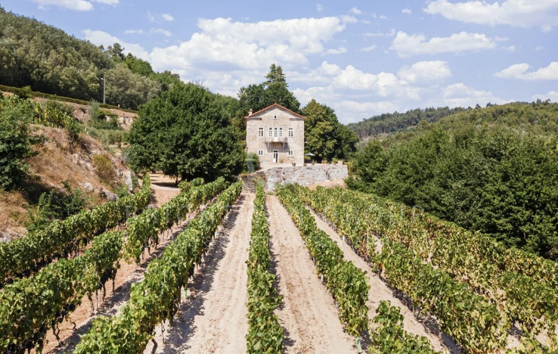 Quinta T10 para Venda em Parada de Gonta Foto 1