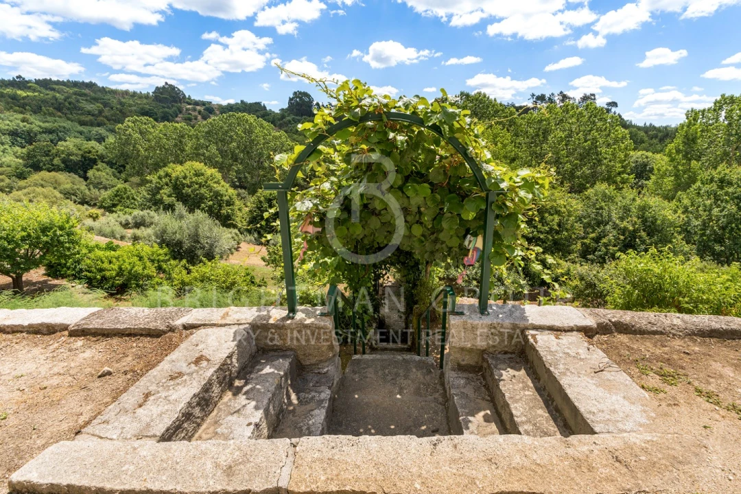 Quinta T10 para Venda em Parada de Gonta Foto 42