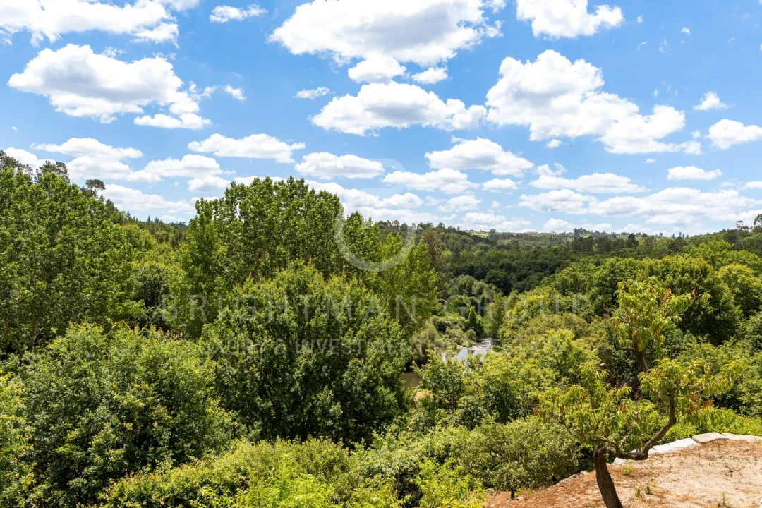 Quinta T10 para Venda em Parada de Gonta Foto 51