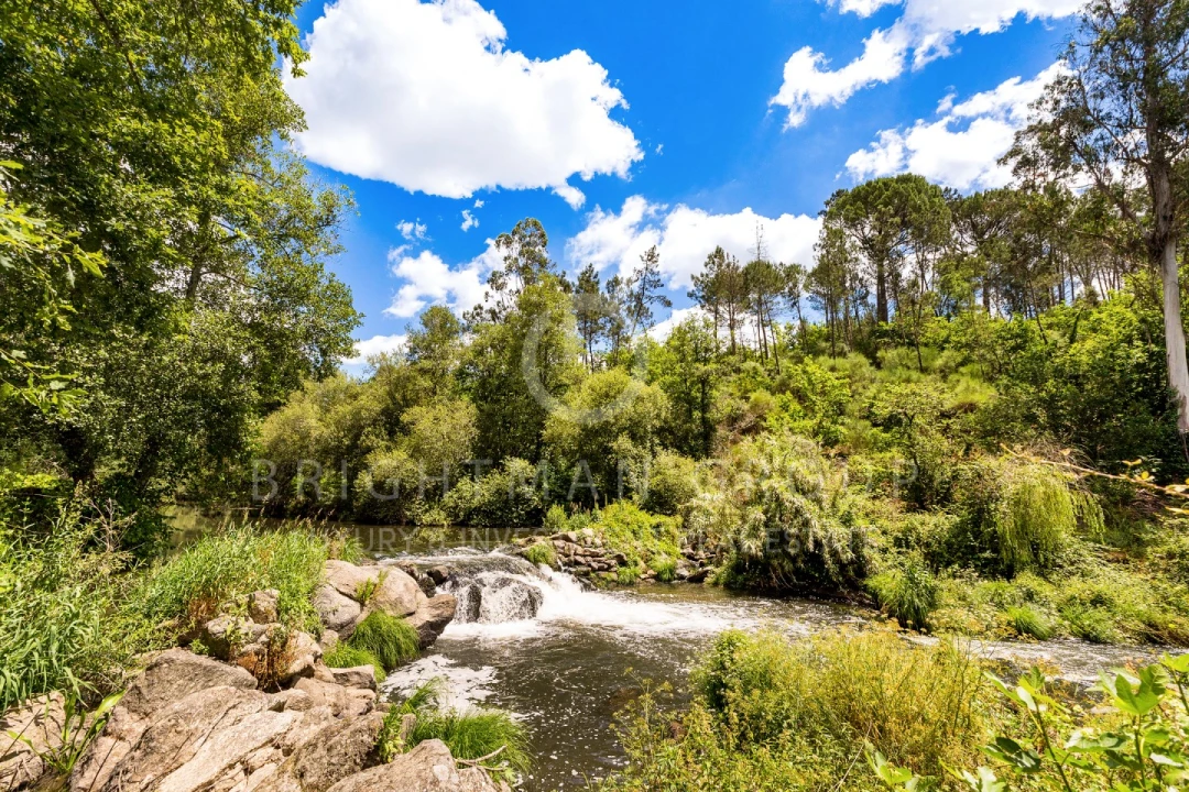 Quinta T10 para Venda em Parada de Gonta Foto 54