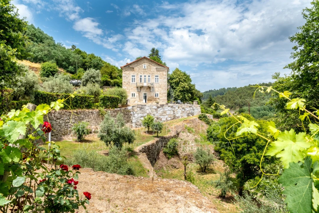 Quinta T10 para Venda em Parada de Gonta Foto 46