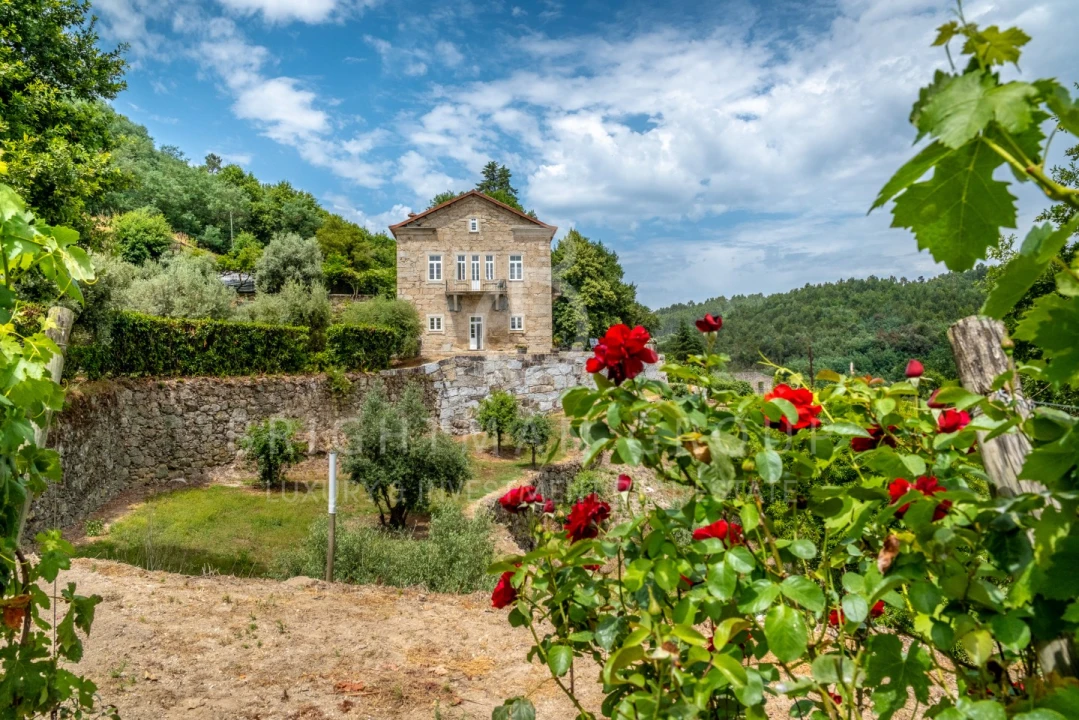 Quinta T10 para Venda em Parada de Gonta Foto 48