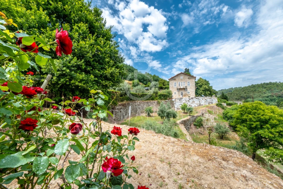 Quinta T10 para Venda em Parada de Gonta Foto 49