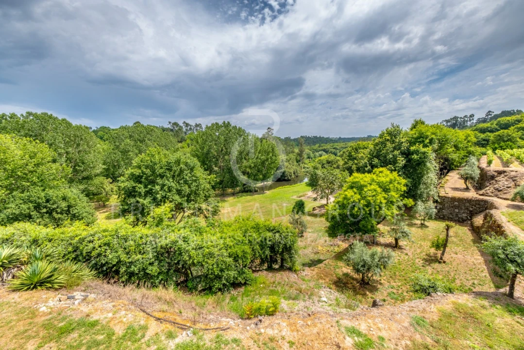 Quinta T10 para Venda em Parada de Gonta Foto 55