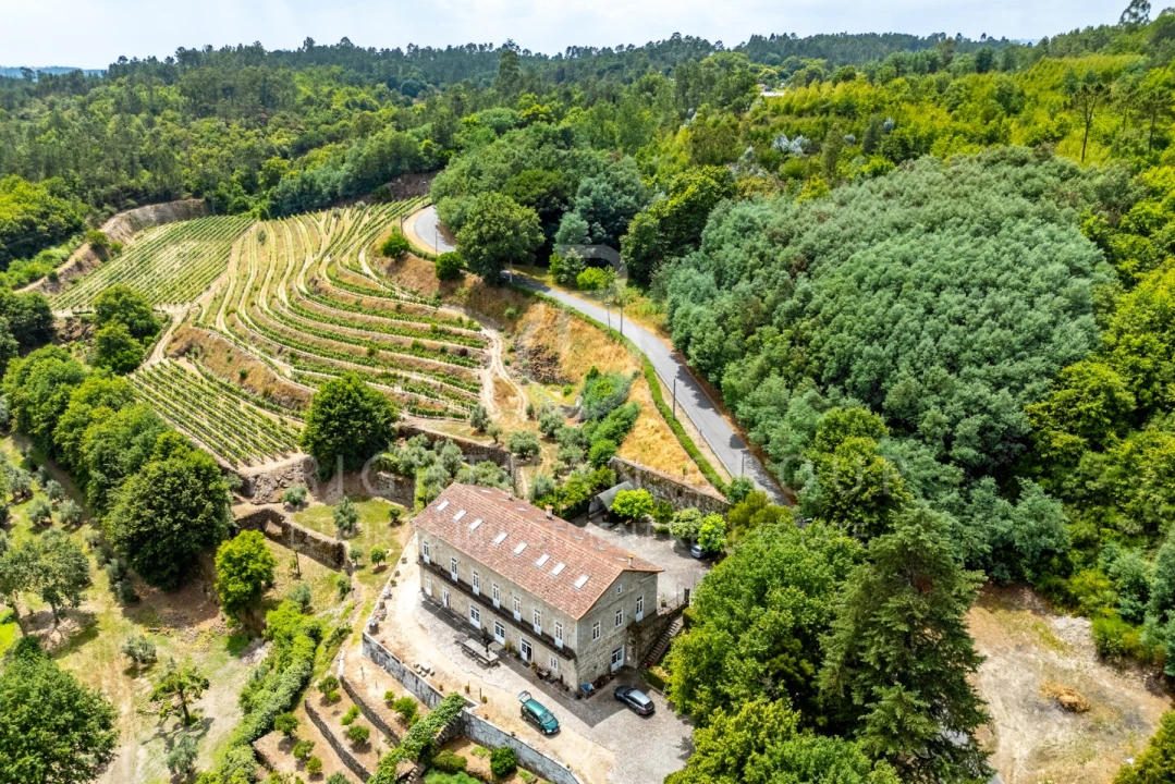 Quinta T10 para Venda em Parada de Gonta Foto 59