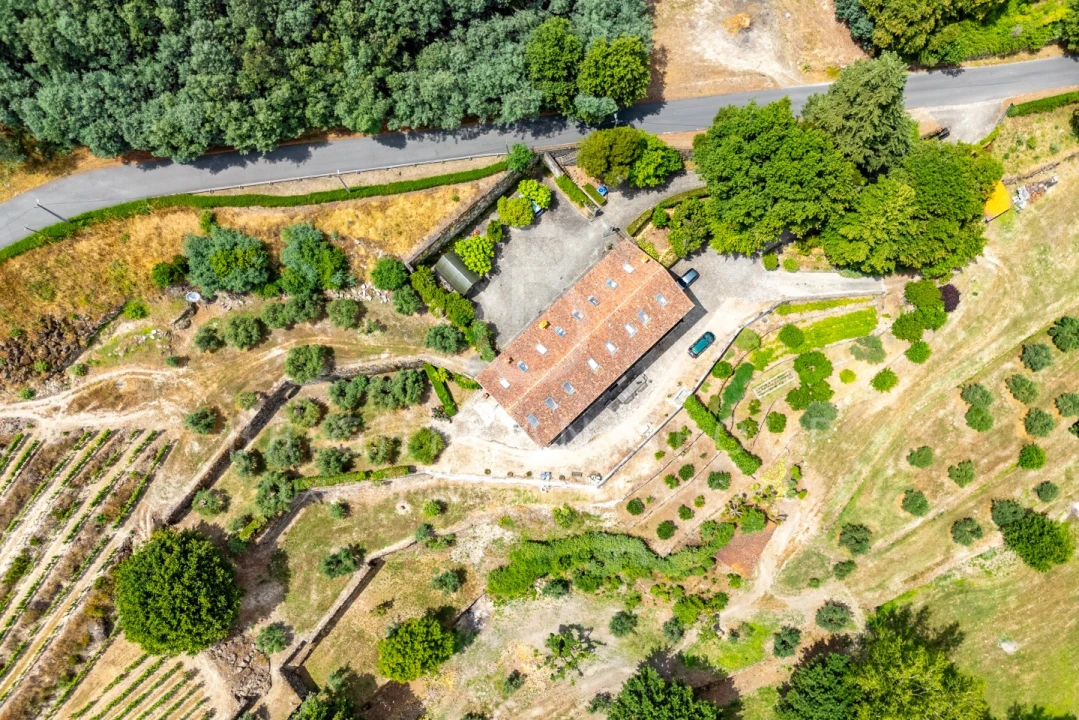 Quinta T10 para Venda em Parada de Gonta Foto 63