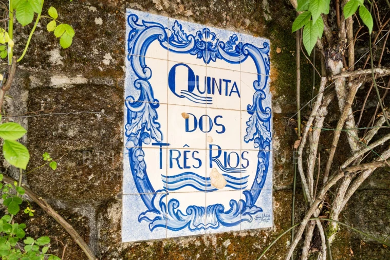 Quinta T10 para Venda em Parada de Gonta Foto 2