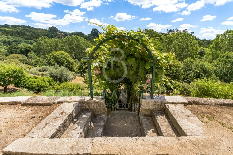 Quinta T10 para Venda em Parada de Gonta Foto 42