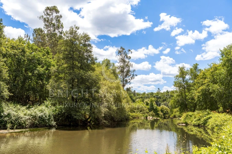 Quinta T10 para Venda em Parada de Gonta Foto 52