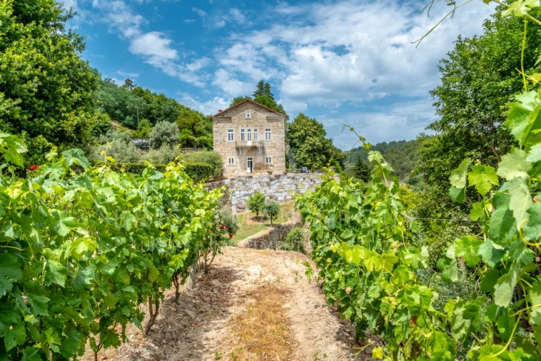 Quinta T10 para Venda em Parada de Gonta Foto 47