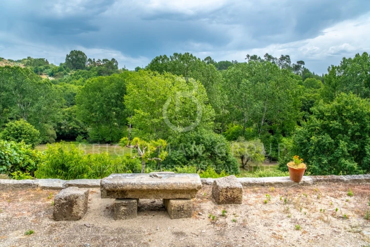 Quinta T10 para Venda em Parada de Gonta Foto 39