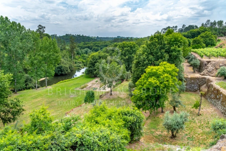 Quinta T10 para Venda em Parada de Gonta Foto 57