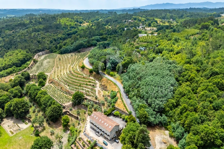 Quinta T10 para Venda em Parada de Gonta Foto 60