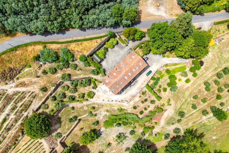 Quinta T10 para Venda em Parada de Gonta Foto 63