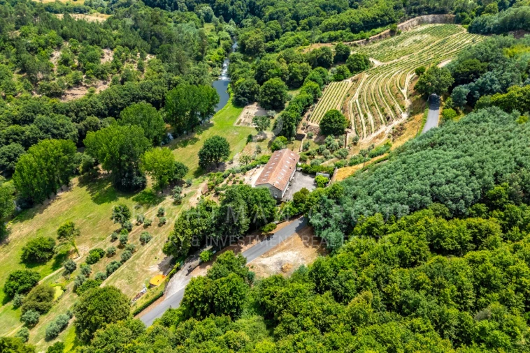 Quinta T10 para Venda em Parada de Gonta Foto 61