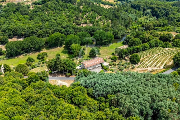 Quinta T10 para Venda em Parada de Gonta Foto 64