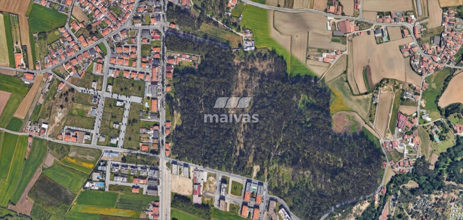 Terreno Agricola ou Rústico para Venda em Labruge Foto 5