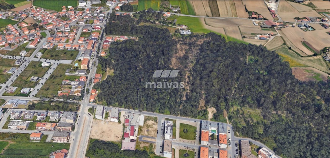 Terreno Agricola ou Rústico para Venda em Labruge Foto 2