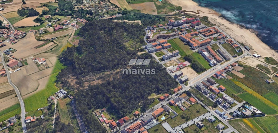 Terreno Agricola ou Rústico para Venda em Labruge Foto 4