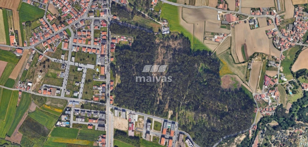 Terreno Agricola ou Rústico para Venda em Labruge Foto 5