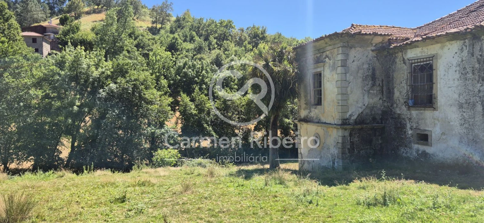 Quinta T10 para Venda em Rossas Foto 12