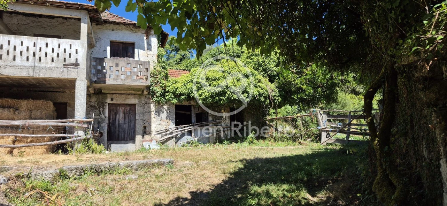 Quinta T10 para Venda em Rossas Foto 19