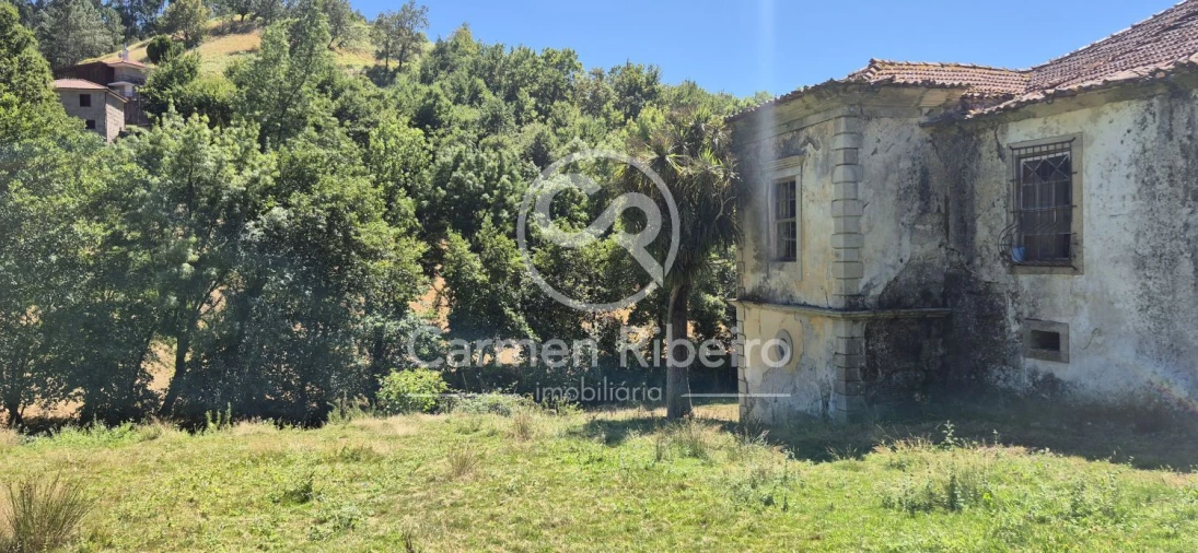 Quinta T10 para Venda em Rossas Foto 12