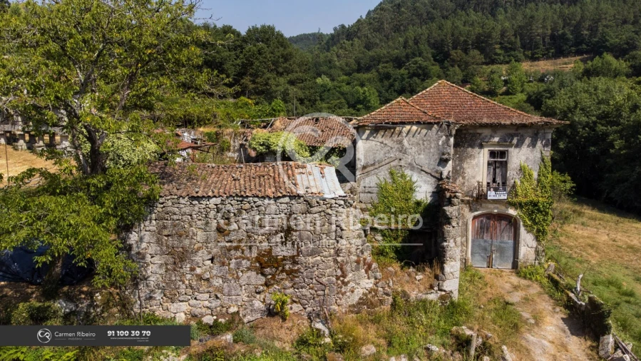 Quinta T10 para Venda em Rossas Foto 4