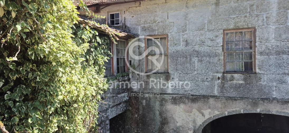 Quinta T10 para Venda em Rossas Foto 36